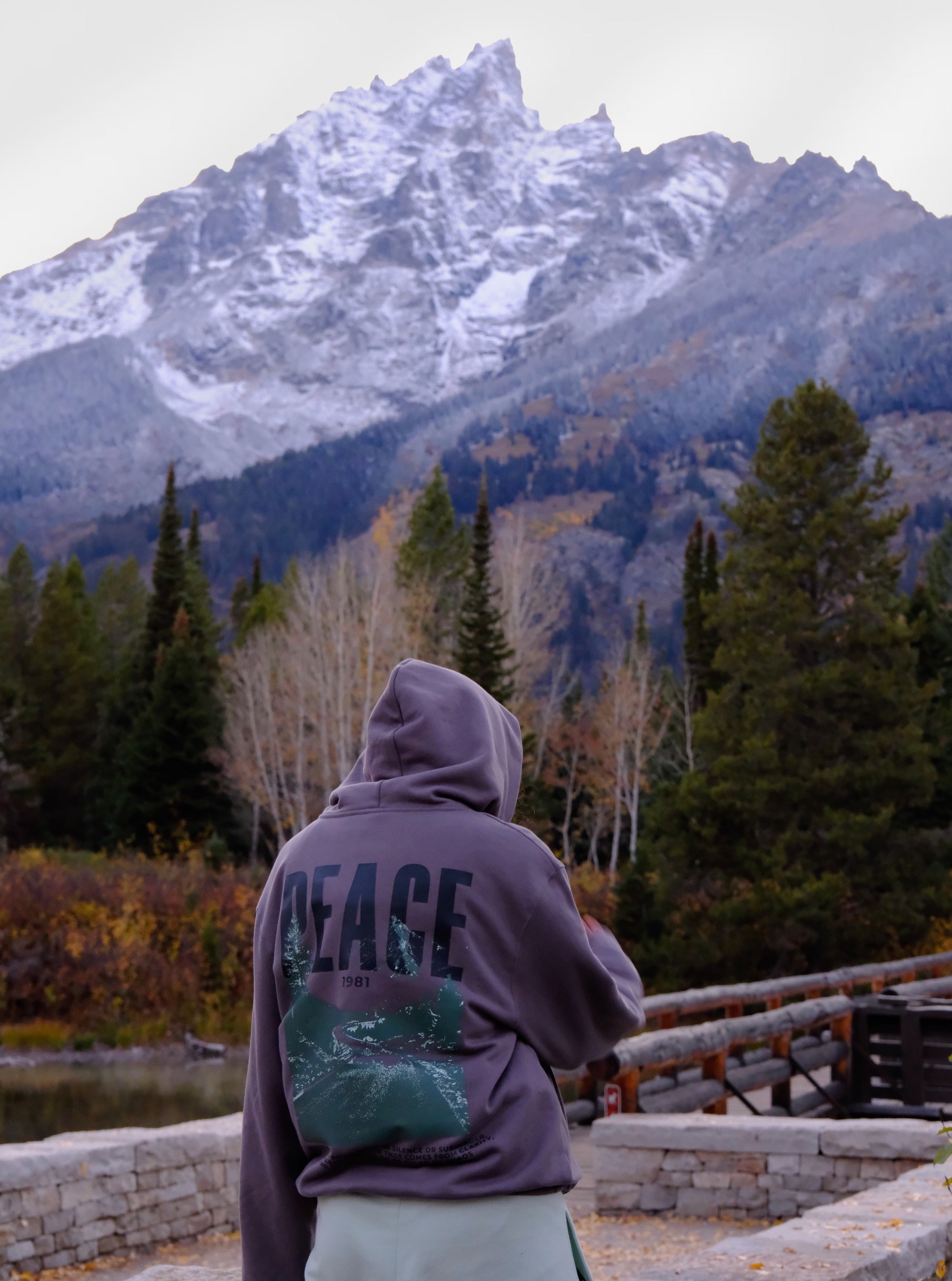 Peace 1981 Hoodie